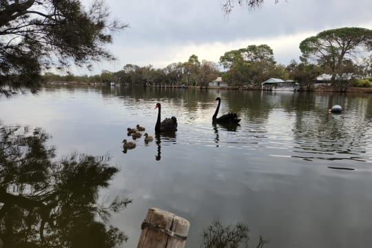 A Piece Of Paradise!