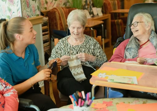 Registered Aged Care NDIS Provider (Franchise), 2 Established NSW Territories, $3.6M revenue