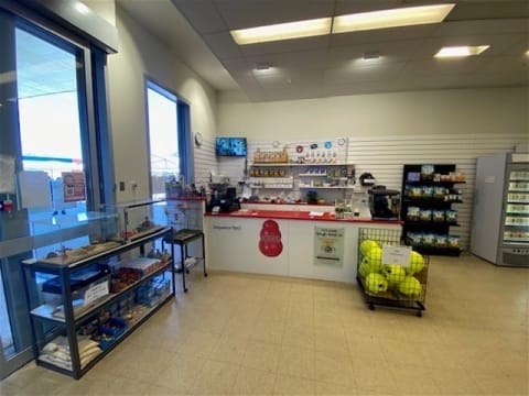 Northam's Only Pet Store For Sale