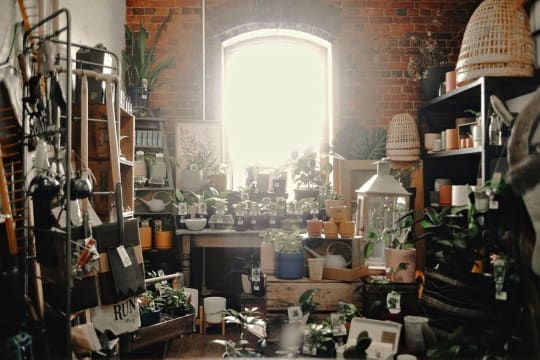 Les0ddxomov5c3wdoljz