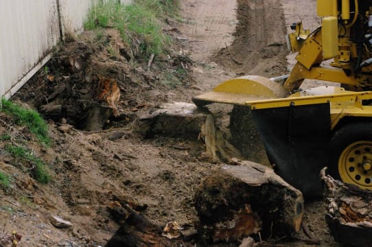 Two Long-Established Arborist Businesses with Strong Cashflow & Major Contracts