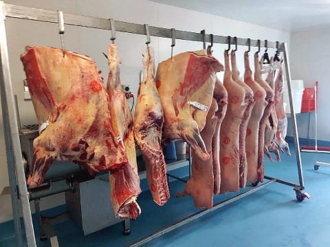 Lfbtydmiwv0hodrjb9qr