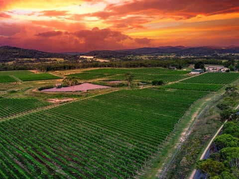 Huge Upside Well Established Business and Property - 2890CF