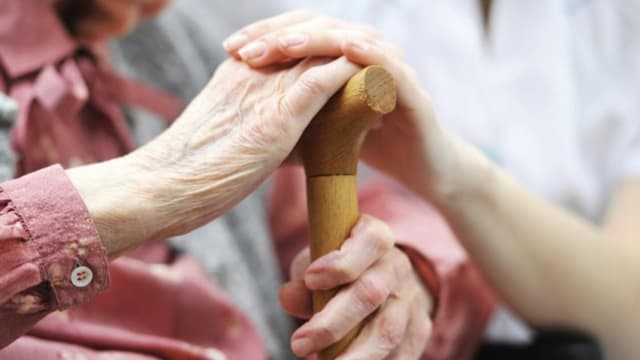 Well Established NDIS/Disability Registered and In Home Care Services Business #386