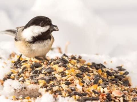 Lkhym83keeqzcbq3kr3g