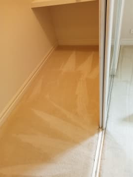 URGENT SALE- Profitable Owner-Operator Carpet Cleaning Business Growth Potential