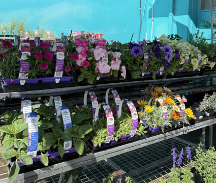 Thriving Rural Hardware & Garden Centre with Freehold and Expansion Upside