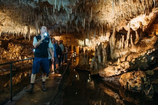 Harvest Tours - Accessible Tourism Business Margaret River -