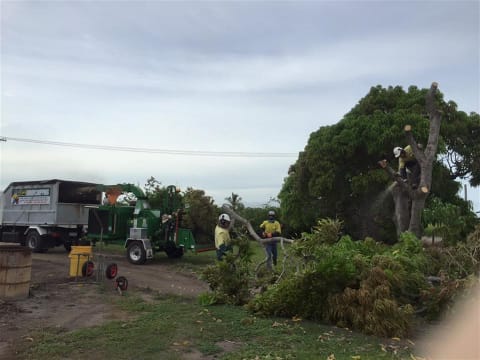 Long-Established Tree Services Business - Coastal Lifestyle!