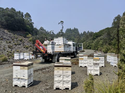 Asset-Based Small Scale Commercial Beekeeping Opportunity for Sale