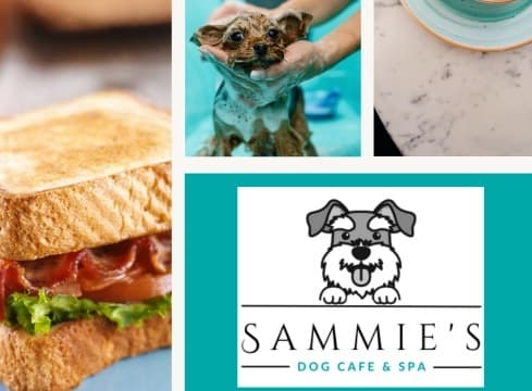 Dog Cafe and Spa - Moonee Beach, NSW
