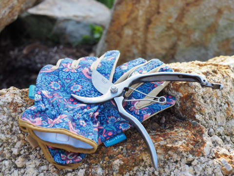 Gardening Gift Box Business – National Online Opportunity