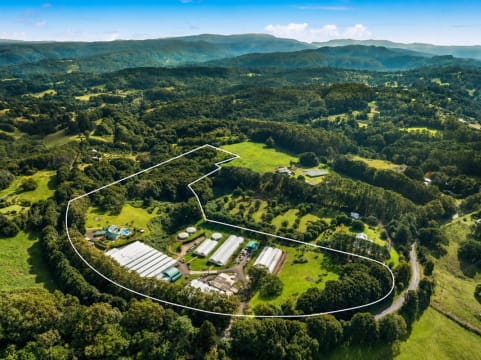 Established Wholesale Nursery with Freehold  Byron Bay Hinterland