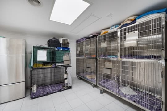 HIGHlands Veterinary Hospital –Southern Highlands NSW
