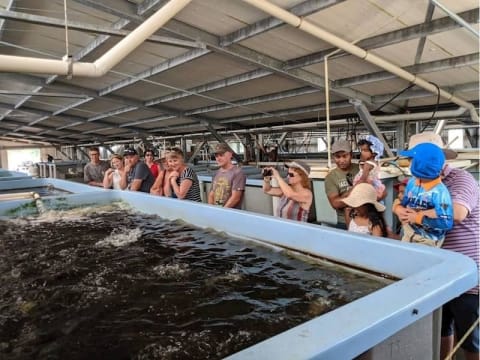 Sustainable Aquaculture & Food Hub - Port Stephens