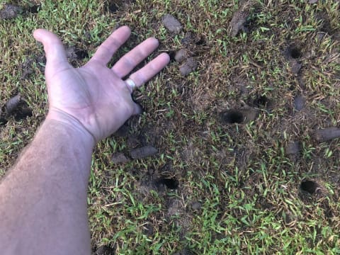 Highly Profitable Lawn Renovation & Sports Field Maintenance Business