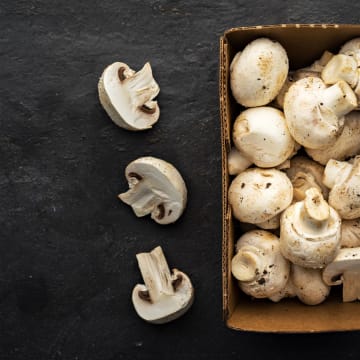 Indoor Mushroom Farm - Booming Industry