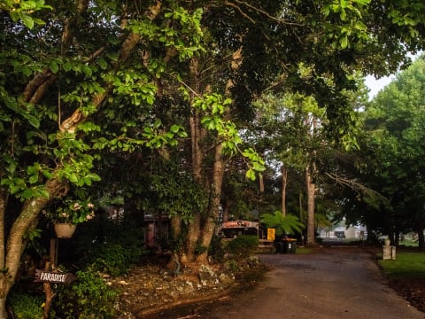 STRATEGIC FREEHOLD TOURISM PARK IN HIGH-GROWTH NATURE DESTINATION - 222CPF