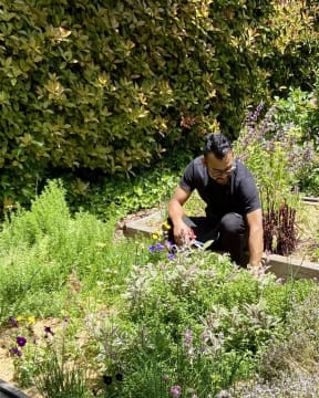 Malp8kziauxn4cg28bnt