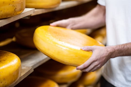 Multi Award Winning Cheese Producer & Modern Regional Cafe