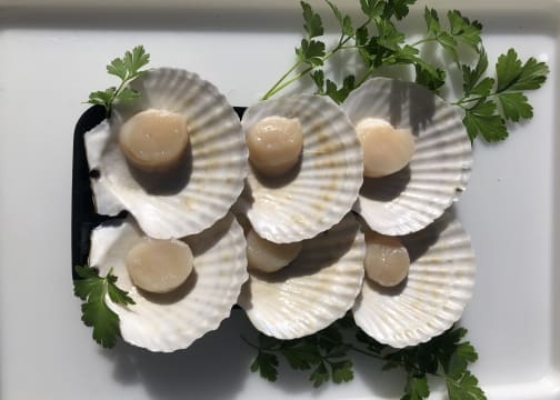 Established Mobile Seafood Retail Business – Three Turnkey Outlets Included