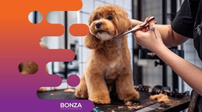 36275 - Mobile Dog Washing Business - Perfect for 1st time business owner.