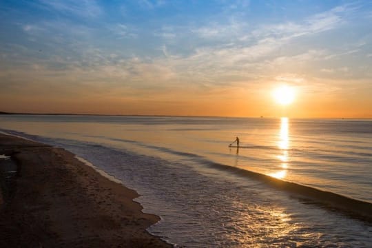 Profitable Tyres & Mechanical Business for Sale - Mornington Peninsula