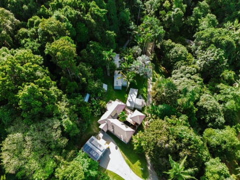 Daintree Rainforest Luxe Eco Lodge For Sale