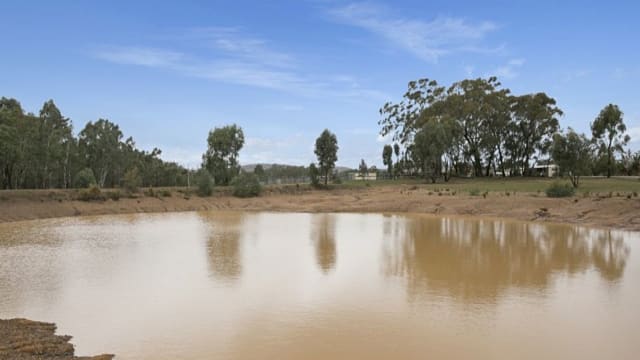 Escape the City. Bring Your Income With You.
Established Boarding Kennel Business + Home + 45 Acres