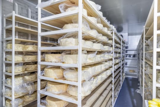 Artisan Cheese Factory & Café Business For Sale – Granite Belt