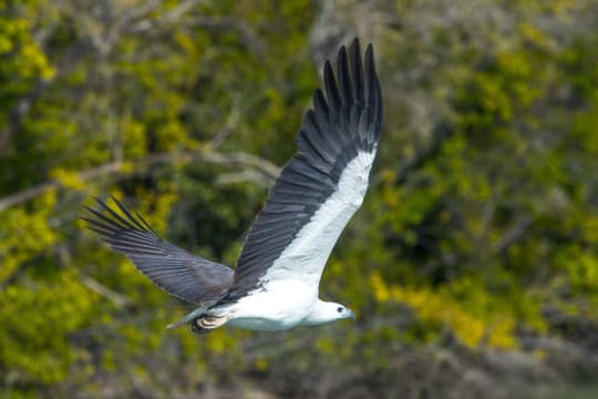 NATURE AND KARUMBA SAND ISLAND SUNSET CRUISES