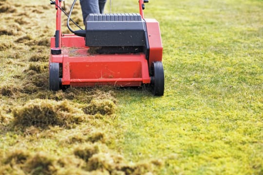 Highly Profitable Lawn Renovation & Sports Field Maintenance Business