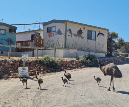 The Best Shark Bay Caravan Park For Sale