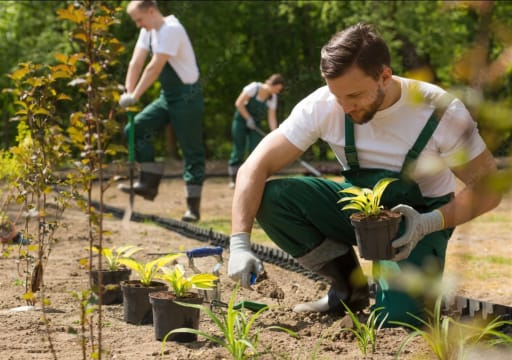 Landscaping Business -   Recurring Revenue + Strong Growth!