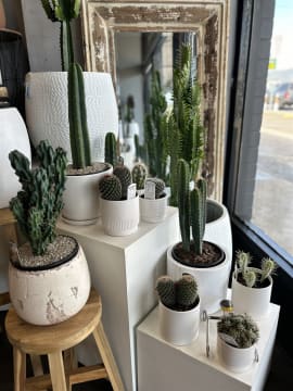 Much-Loved Florist and Giftware Business with 43 Years of Excellence