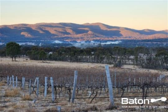 Ballandean Estate Vineyard & Winery for Sale