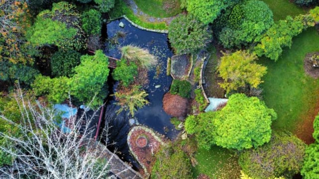 HERITAGE SEED BANK and OPEN GARDEN