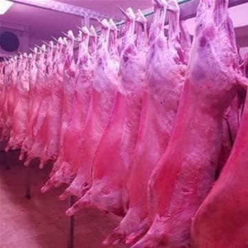 FAMOUS CAMPBELLFIELD BUTCHER FOR SALE