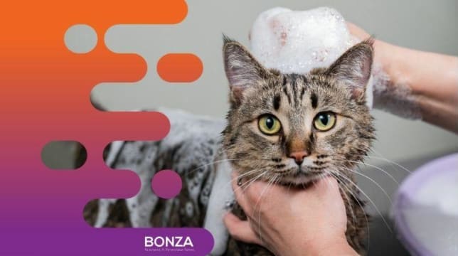 35482 Popular Pet Grooming Salon on the Sunshine Coast