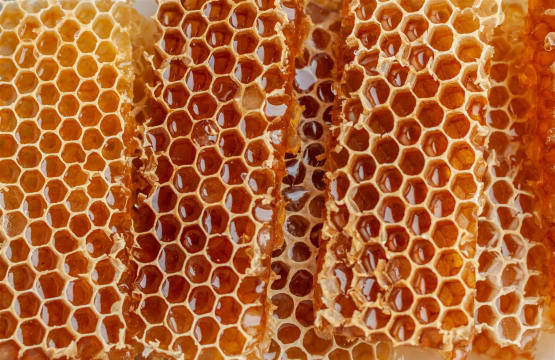Iconic 3rd Generation Tasmanian Honey Producer