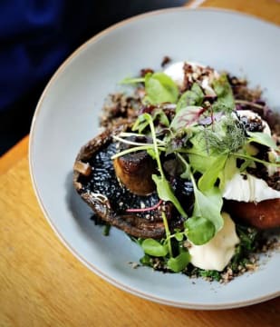 Large Licenced Café – Snowy Mountains, NSW