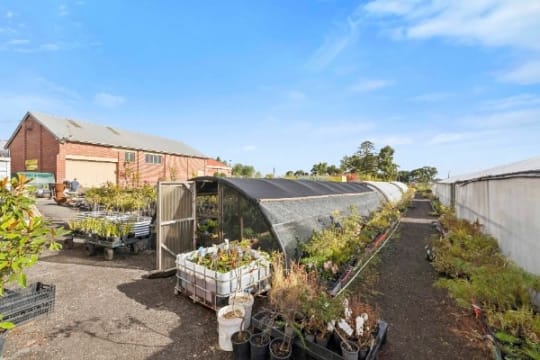 Multiflora Nursery - Colac (IWR2646)