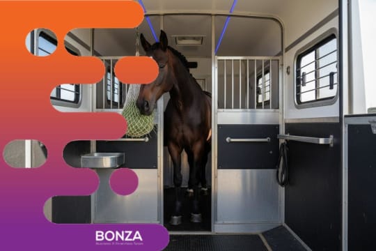 36533 Mobile Horse Wellness Business With Licensing Rights