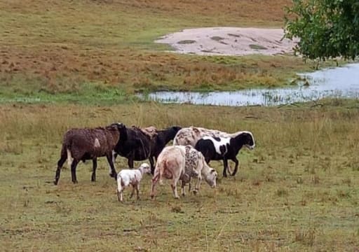 Mw5xsjj5afqtupjkuem7