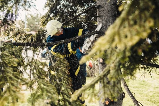 Proven Arboriculture Business with Management Potential