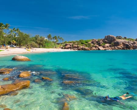 Mwv8ljmkgtnnjzsvol2d