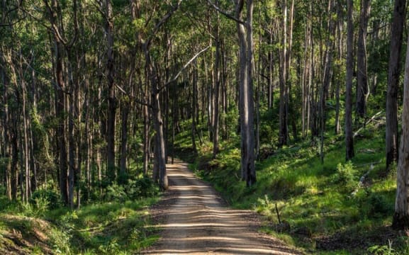 Agriculture, Recreation and Luxe Accommodation Development Opportunity