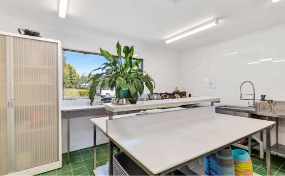 26 Acres, Established Pet Resort & Multiple Residences – A Rare Freehold Opportunity
