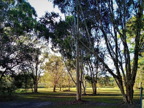 Thriving Business & Lifestyle Opportunity in the Heart of the Sunshine Coast Hinterland