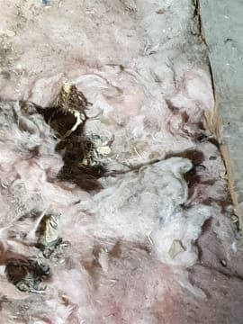 Roof Insulation replacement Services - Perth Metro